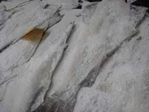 Βακαλαος Ισλανδιας Φιλετο ≈500gr ανευ οστου